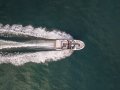 New Sea Ray 250 SDX
