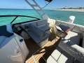 New Sea Ray 250 SDX