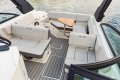 New Sea Ray 250 SDX