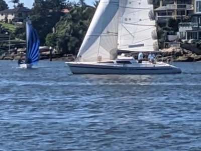 Pacific 36