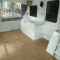 Eagle Catamaran 45 ft Flybridge Catamaran