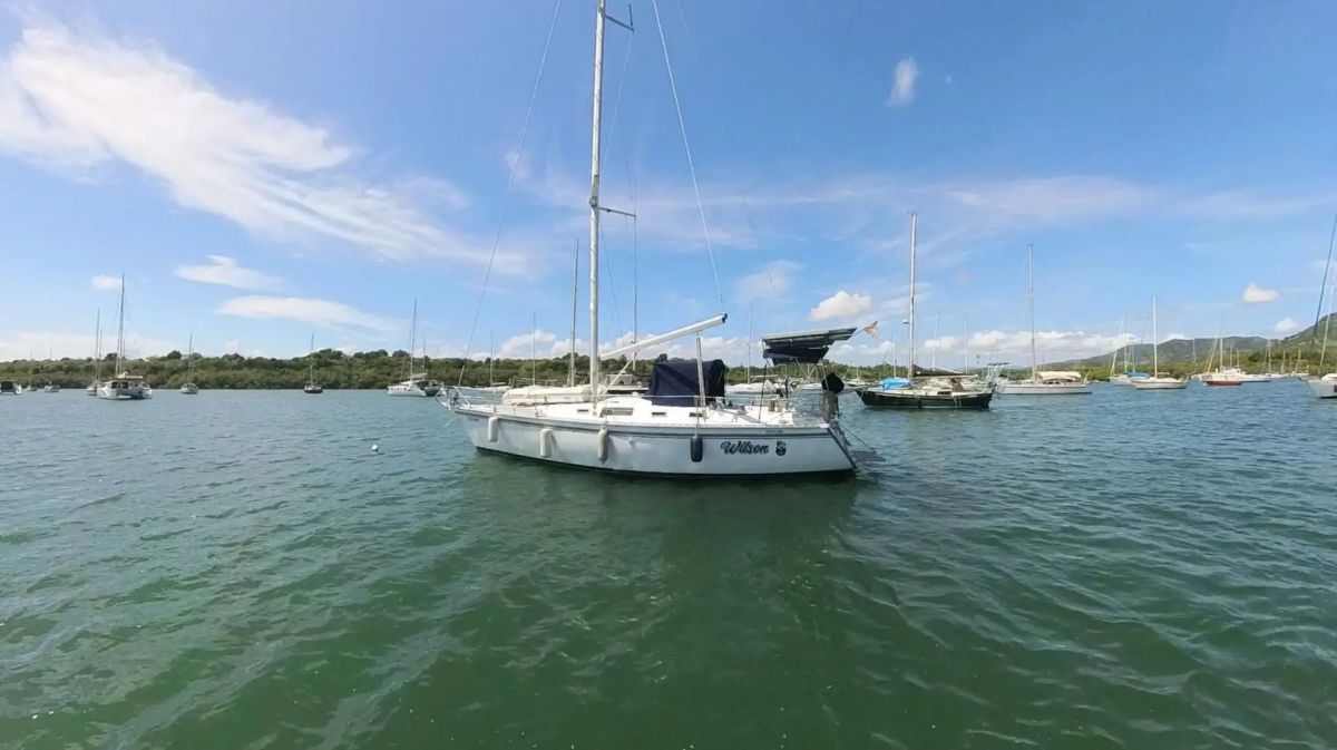 Hunter 40