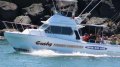 Steber 34 Flybridge Pro-fisher Deep Sea Fishing Charter Boat:7 Sydney Marine Brokerage Steber 34 For Sale