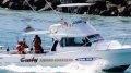 Steber 34 Flybridge Pro-fisher Deep Sea Fishing Charter Boat:8 Sydney Marine Brokerage Steber 34 For Sale