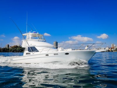 Precision 47 Flybridge