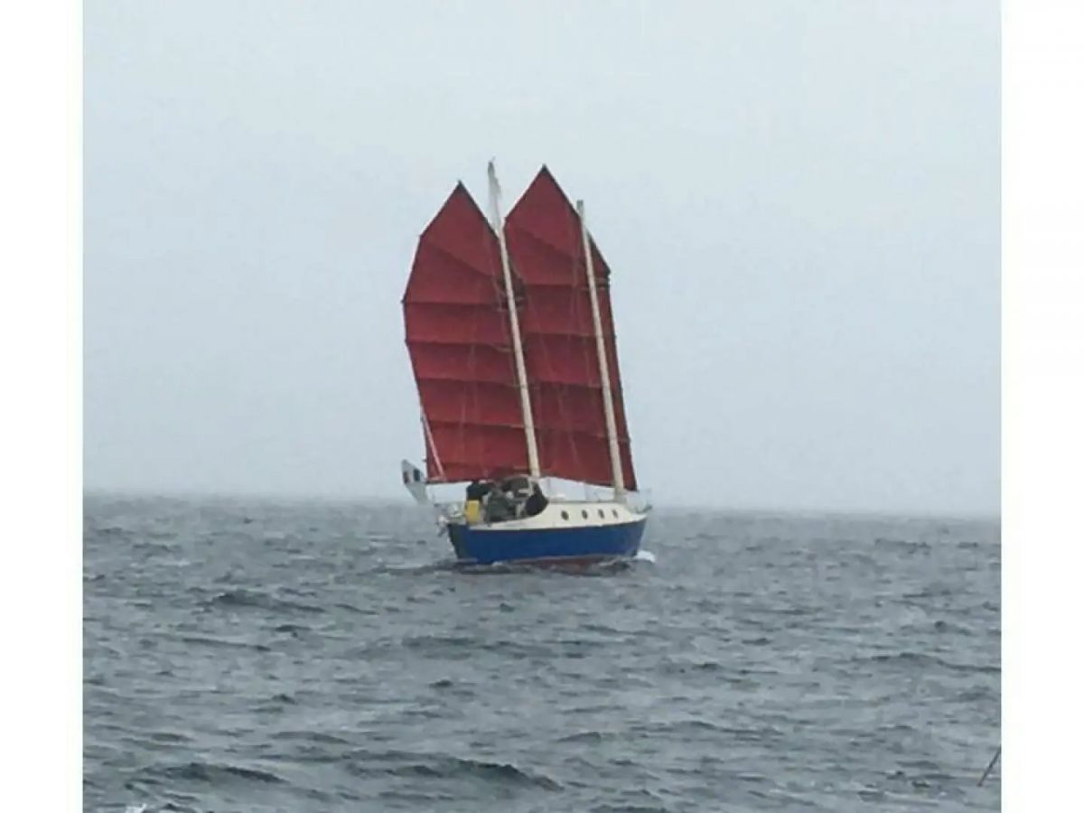 Benford Dory image