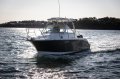 Trophy 2502 Walkaround Pro Edition