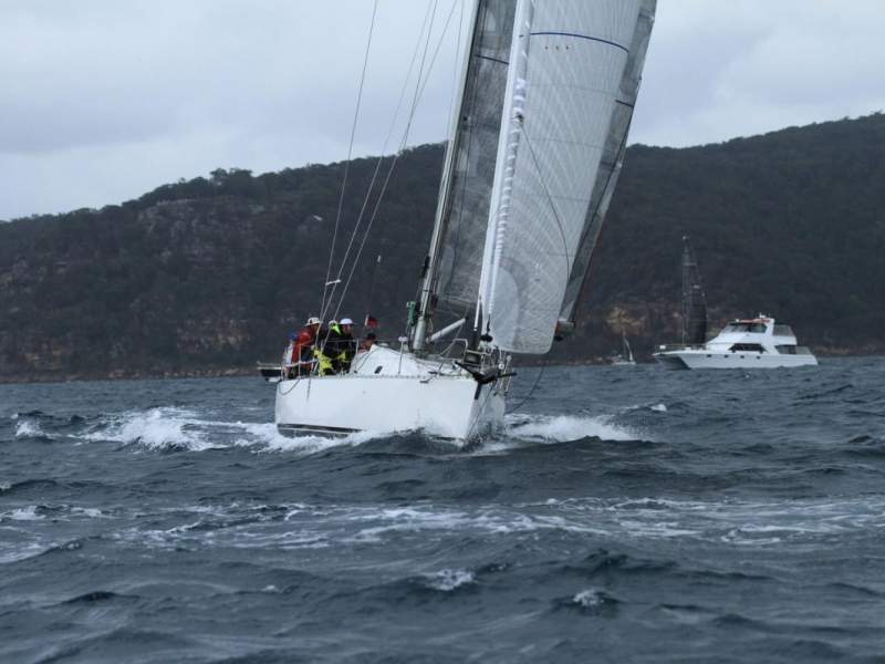 Radford 50