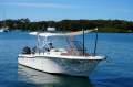 Grady-White Freedom 255