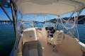 Grady-White Freedom 255