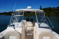 Grady-White Freedom 255