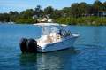 Grady-White Freedom 255