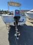 Stacer 480 Bay Master FOUR STROKE, GUTSY AND SUPER CHEAP TO RUN! HURRY