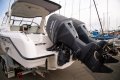 Whittley Sea Legend 730 RARE AND DESIRABLE TWIN OUTBOARD SPECIFICATION