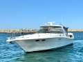 Sea Ray 370 Express Diesel powered cruiser with Hardtop