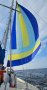 Dutch built sailing yacht with classic lines:Radial Head Drifter