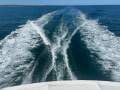 Commodore 33 Flybridge Twin Cabin Cruiser