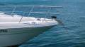 Sea Ray 455 Sedan Bridge