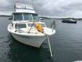 Mariner 30 Flybridge Fiberglass Cruiser Add Value! (Sydney Harbour)