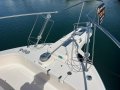 Grady-White Marlin 300 - AMAZING OPPORTUNITY