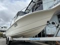 Sea Fox 230 Walkaround