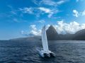 Neel Trimarans 43