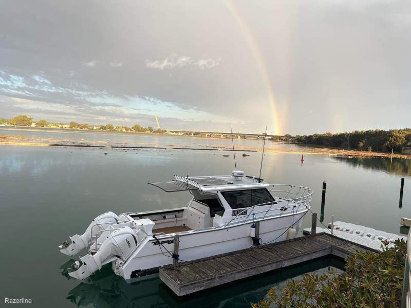 Razerline Sabre Tooth Cat