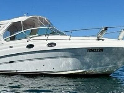 Sea Ray 315 Sundancer