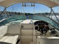 Sea Ray 315 Sundancer