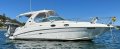 Sea Ray 315 Sundancer