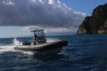 New Capelli Tempest 750 Sport