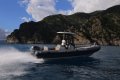 New Capelli Tempest 750 Sport