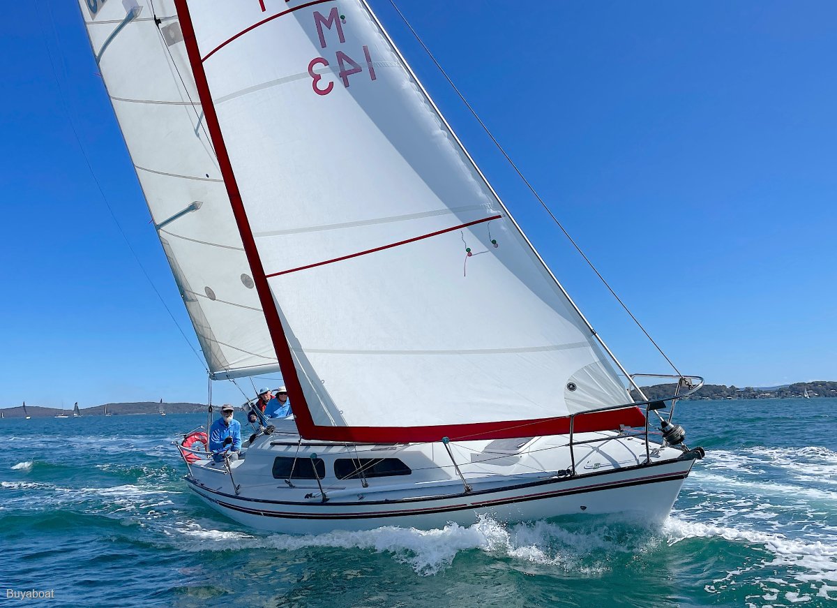 Farr 31