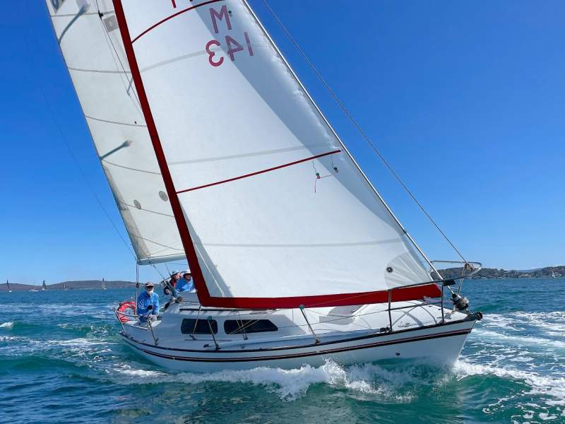Farr 31