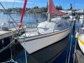 Farr 31