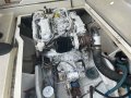 Arvor 230AS
