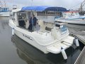 Arvor 230AS