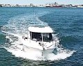 Arvor 230AS
