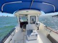 Arvor 230AS