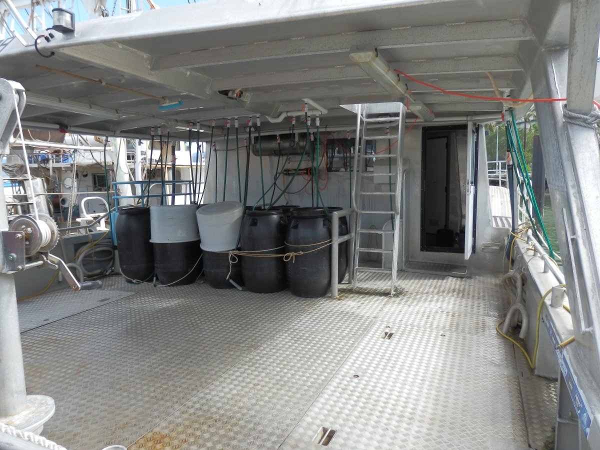 15m Aluminium Catamaran