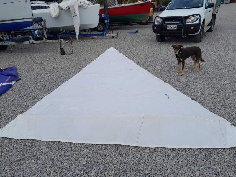 #2 Genoa 6.5 m