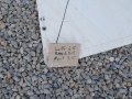 #2 Genoa 6.5 m