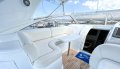 Princess V40