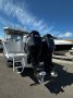 Delta 9.2 2020 MODEL 250HP SUZUKIS SUIT FISHOS AND DIVERS