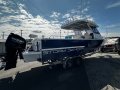 Delta 9.2 2020 MODEL 250HP SUZUKIS SUIT FISHOS AND DIVERS