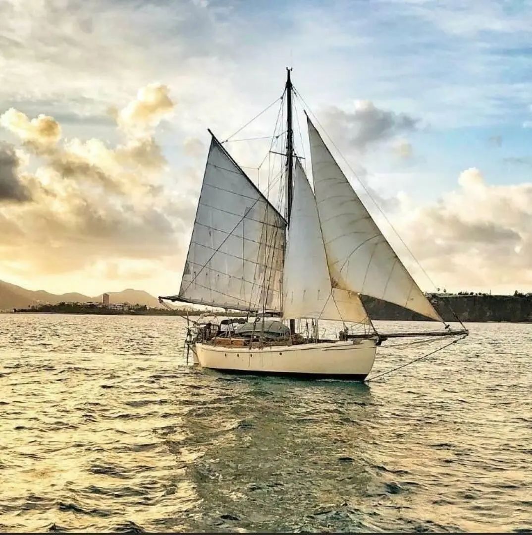Custom Venus - Paul Johnson Gaff Cutter image