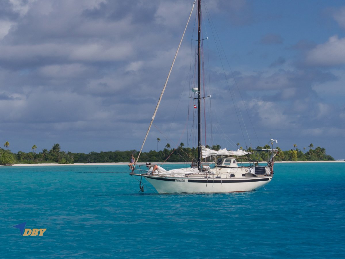 Endurance 35 Cutter