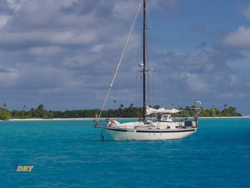 Endurance 35 Cutter