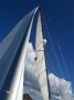 Endurance 35 Cutter