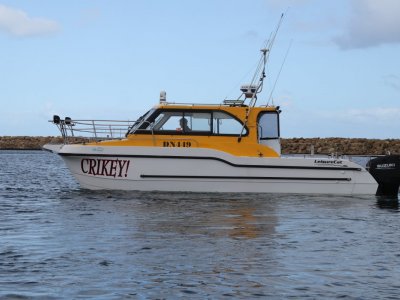 Leisurecat 9000 Profisher with 2018 Suzuki 250Hp Outboards